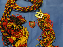 Load image into Gallery viewer, Delta Phi Alpha Honor Society Graduation Package for College Students
